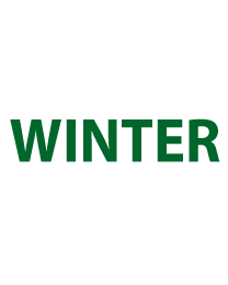 Raamletters winter RL-0014