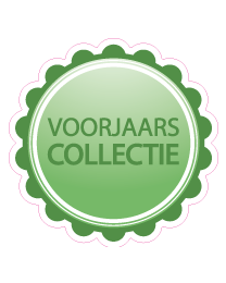 Etalage voorjaarssticker