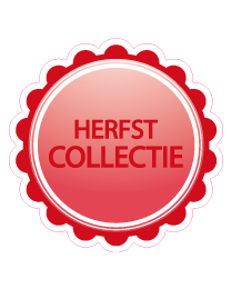 Etalage herfststicker