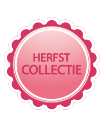 Etalage herfststicker